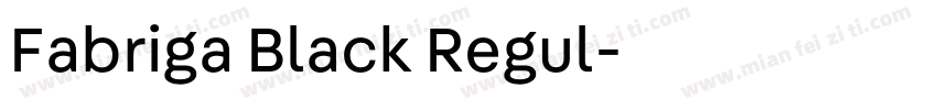 Fabriga Black Regul字体转换